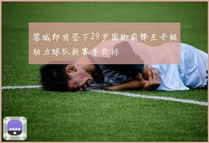 蓉城即将签下29岁国脚前锋王子铭助力球队新赛季目标