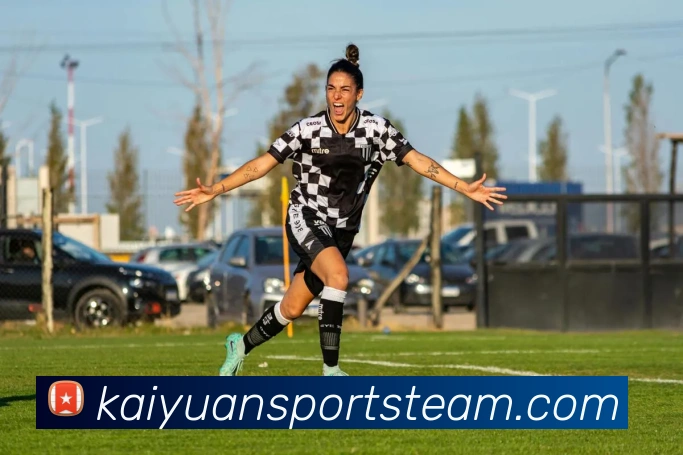 开元体育平台生态图